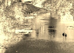 Sepia + Negatyw