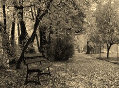 Szary + Sepia