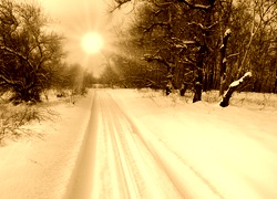 Sepia