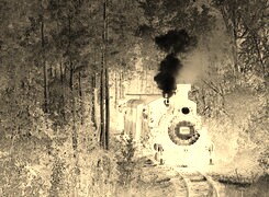 Sepia + Negatyw
