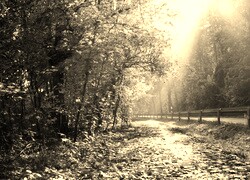 Sepia
