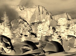 Sepia + Negatyw