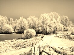 Sepia