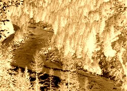 Sepia + Negatyw