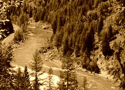 Sepia