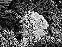 Skamielina