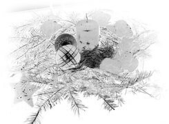 Szary + Negatyw