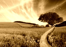 Sepia