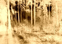 Sepia + Negatyw