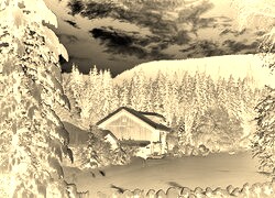 Sepia + Negatyw