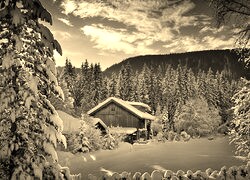 Sepia
