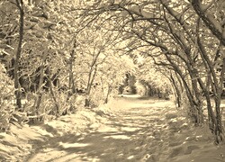 Sepia