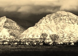 Sepia