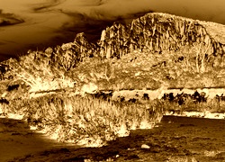 Sepia + Negatyw