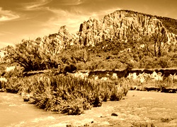 Sepia