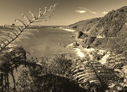 Sepia