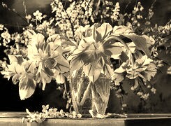 Szary + Sepia