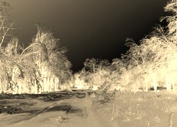 Sepia + Negatyw