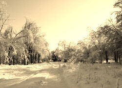 Sepia