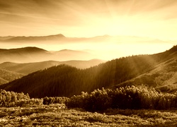 Sepia