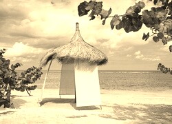 Szary + Sepia