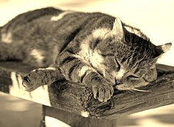 Sepia