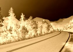 Sepia + Negatyw