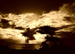 Sepia