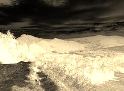 Sepia + Negatyw