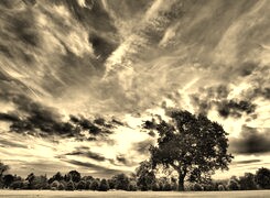 Sepia