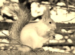 Sepia