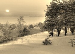 Sepia