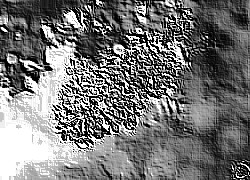 Skamielina