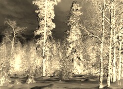 Sepia + Negatyw