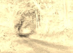 Sepia + Negatyw