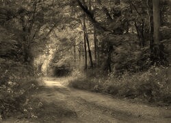 Szary + Sepia