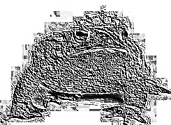 Skamielina