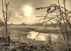 Szary + Sepia