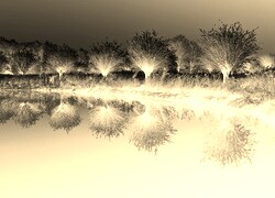 Sepia + Negatyw