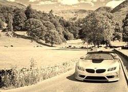 Szary + Sepia
