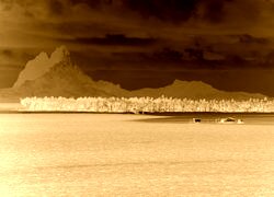 Sepia + Negatyw