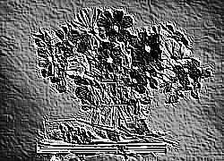 Skamielina