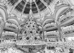 Szary + Negatyw