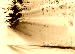 Sepia + Negatyw