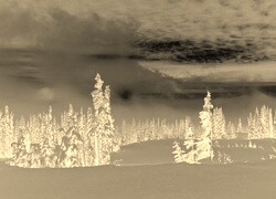 Sepia + Negatyw