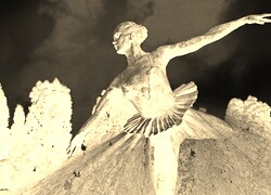 Sepia + Negatyw