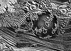 Skamielina