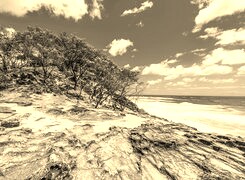 Szary + Sepia