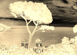 Sepia + Negatyw