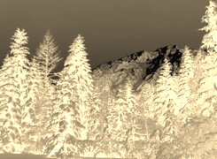Sepia + Negatyw